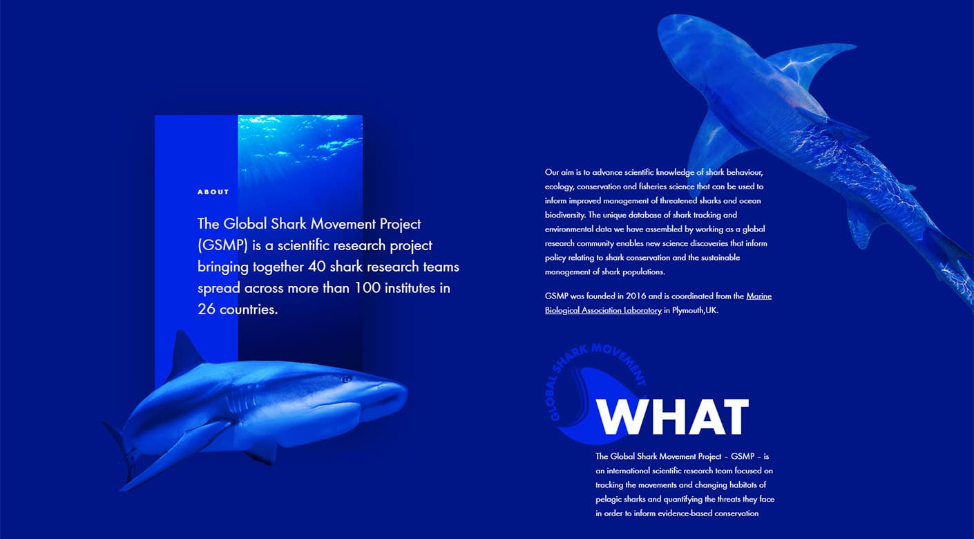 The Global Shark Movement Project (GSMP)